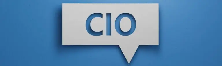 Chief Information Officer (CIO)