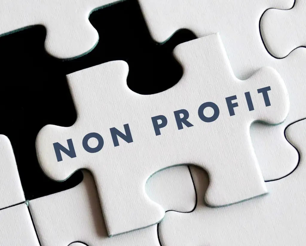 non profit